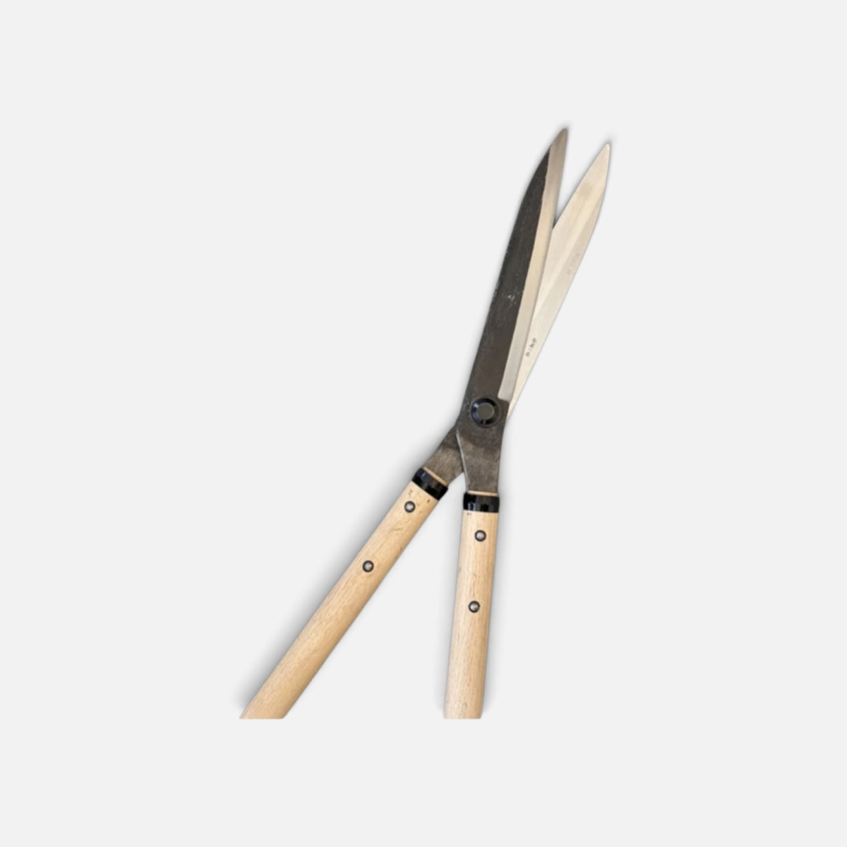 Hasamiya Ichiban All-Round Sharp Blade Hedge Shears 210mm (No Stopper) Yasugi Shirogami White Paper Steel / Oak Handle 300mm [Traditional Hand-Forged from Scratch / Urasuki Hollow Ground / Rivet Joint / All-Round General-Purpose]