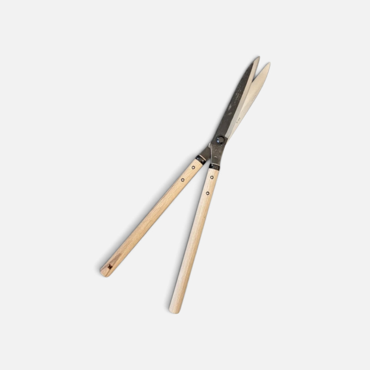 Hasamiya Ichiban All-Round Sharp Blade Hedge Shears 210mm (No Stopper) Yasugi Shirogami White Paper Steel / Oak Handle 360mm [Traditional Hand-Forged from Scratch / Urasuki Hollow Ground / Rivet Joint / All-Round General-Purpose]