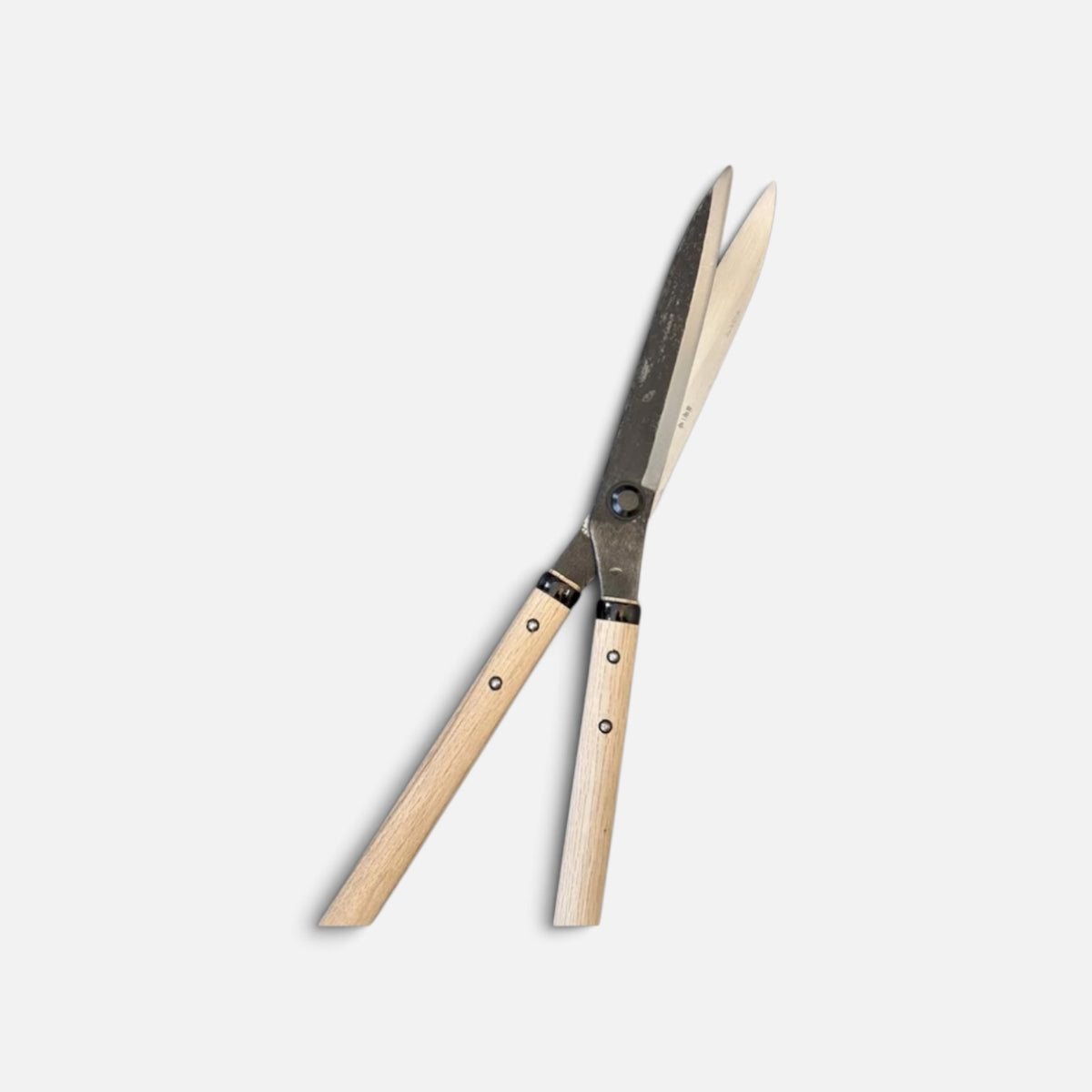 Hasamiya Ichiban All-Round Sharp Blade Hedge Shears 210mm (No Stopper) Yasugi Shirogami White Paper Steel / Oak Handle 360mm [Traditional Hand-Forged from Scratch / Urasuki Hollow Ground / Rivet Joint / All-Round General-Purpose]