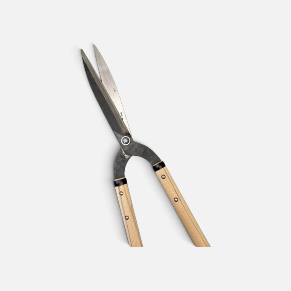 Hasamiya Ichiban Kyo-Style Gate-Hedge Shears 200mm Yasugi Shirogami White Paper Steel / Oak Handle 300mm [Traditional Hand-Forged from Scratch / Urasuki Hollow Ground / Rivet Joint / Kyo-Style Gate Profile]