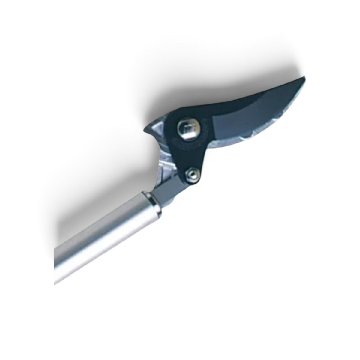 ARS Professional Long-Reach Pruner "Pole Choki" Pruning Type 1.8M (1817mm) Max 15mm Capacity / 695g | Fluorine Coated Blade [ARS Craftsmanship / Fixed Length 1817mm / Ultra-Lightweight 695g / 15mm Raw Wood Cutting Capacity / Non-Stick Fluorine Coating]