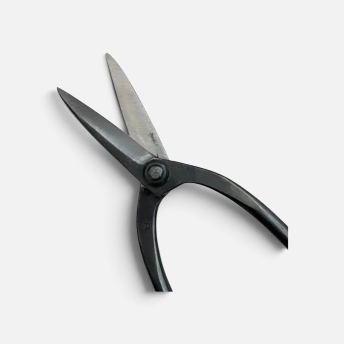 SAKURA Kyoto Style Kiribashi Gardening Shears Total Length & Blade: 250mm/77mm Long-Narrow Blade / Yasuki White Paper Steel [Traditional Hand Forged from Scratch / Hollow Ground Blade / Twisted Blade / Rivet Joint]