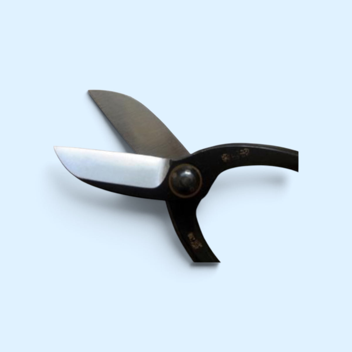 Minamoto no Akitada Ikenobo Traditional Bonsai-Ikebana (Floral Shears) Pruning Shears Total Length & Blade: 165mm/53mm / Yasuki Blue Paper Steel [Ikenobo Style / Precision Ground Blade / Twisted Blade / Master Cutlery]