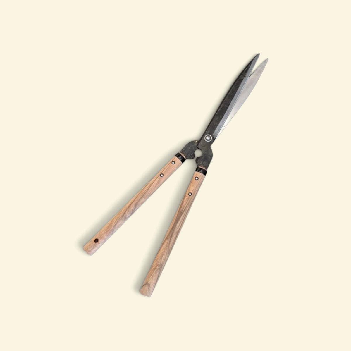 SAKURA All-Purpose Stopper-Style Hedge Shears Total Length & Blade: 610mm/240mm Yasugi Yellow Paper Steel / Oak Handle 300mm [Traditional Hand-Forged from Scratch / Hollow Ground Back / Rivet Joint / Twisted Blade / Stopper Guard]