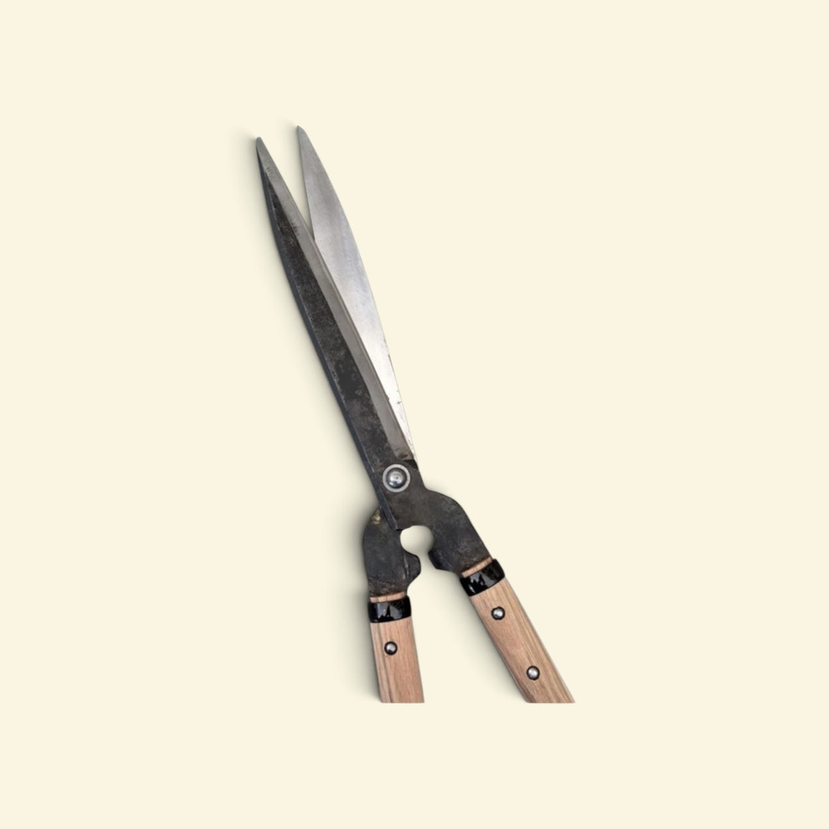 SAKURA All-Purpose Stopper-Style Hedge Shears Total Length & Blade: 610mm/240mm Yasugi Yellow Paper Steel / Oak Handle 300mm [Traditional Hand-Forged from Scratch / Hollow Ground Back / Rivet Joint / Twisted Blade / Stopper Guard]