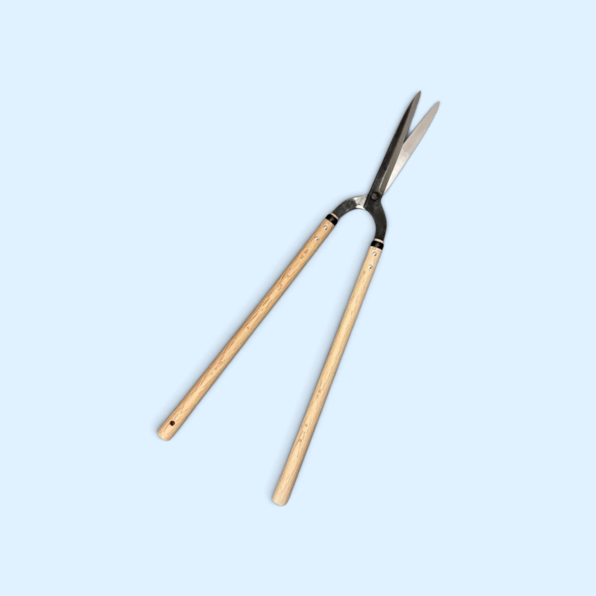 SAKURA Professional Slim-Blade Gate-Hedge Shears Total Length & Blade 775mm/210mm Yasugi Aogami Blue Paper Steel / Oak Handle 500mm [Traditional Hand-Forged from Scratch / Hollow Ground Back / Twisted Blade / Rivet Joint / Gate-Style]