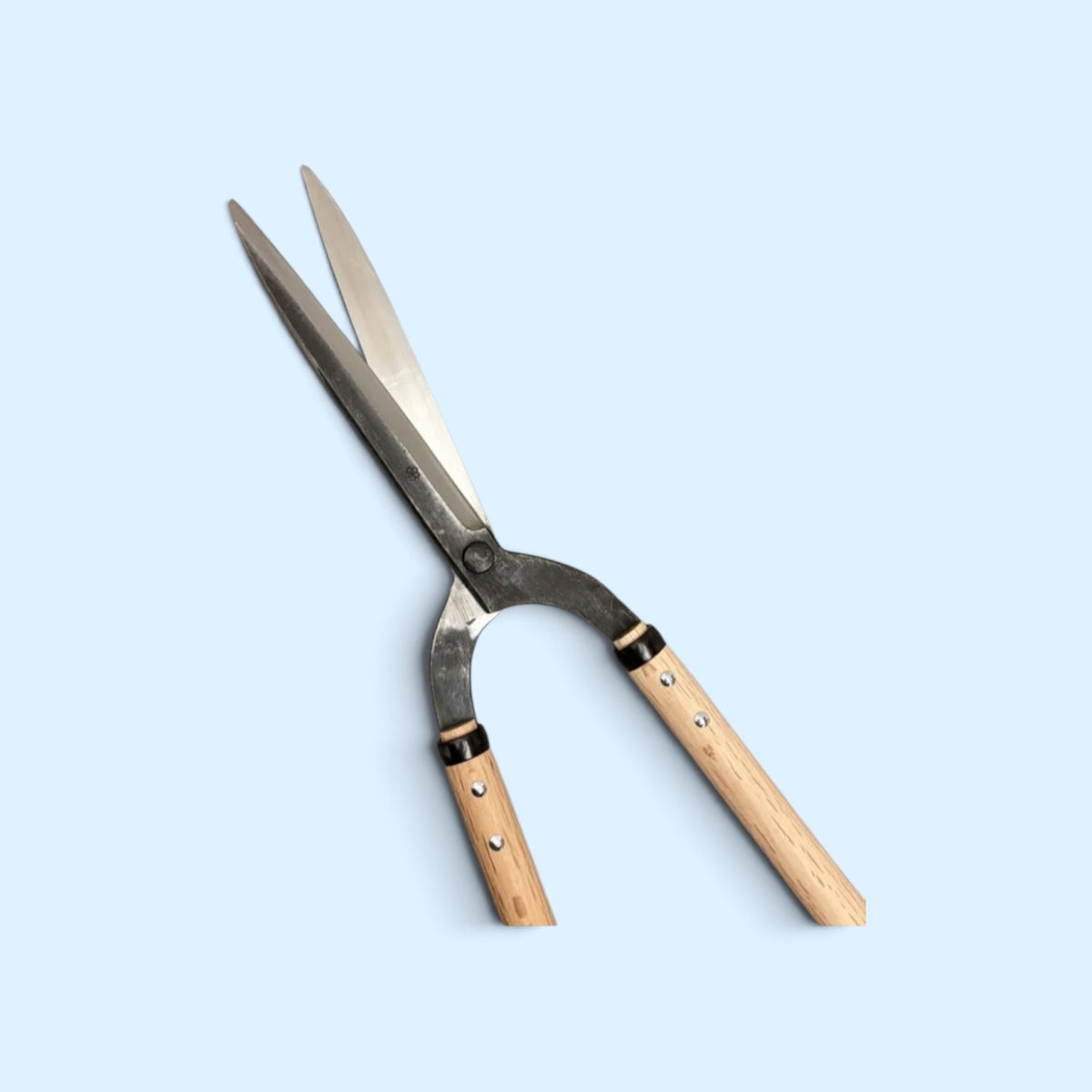 SAKURA Professional Slim-Blade Gate-Hedge Shears Total Length & Blade 775mm/210mm Yasugi Aogami Blue Paper Steel / Oak Handle 500mm [Traditional Hand-Forged from Scratch / Hollow Ground Back / Twisted Blade / Rivet Joint / Gate-Style]