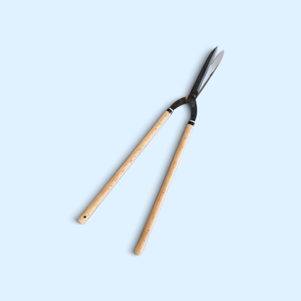 SAKURA Curved-Neck Style Hedge Shears Total Length & Blade 765mm/185mm Yasugi Blue Paper Steel / Oak Handle 500mm [Traditional Hand-Forged from Scratch / Hollow Ground Back / Twisted Blade / Rivet Joint / Jizo-Type Curved Neck]
