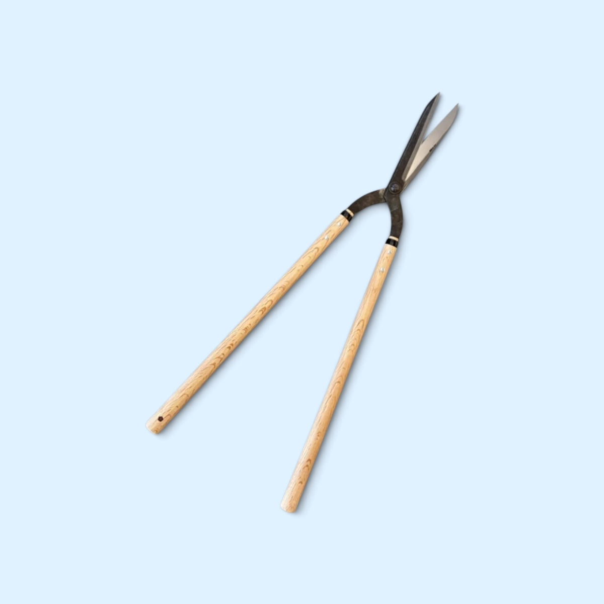 SAKURA Curved-Neck Style Hedge Shears Total Length & Blade 765mm/185mm Yasugi Blue Paper Steel / Oak Handle 500mm [Traditional Hand-Forged from Scratch / Hollow Ground Back / Twisted Blade / Rivet Joint / Jizo-Type Curved Neck]