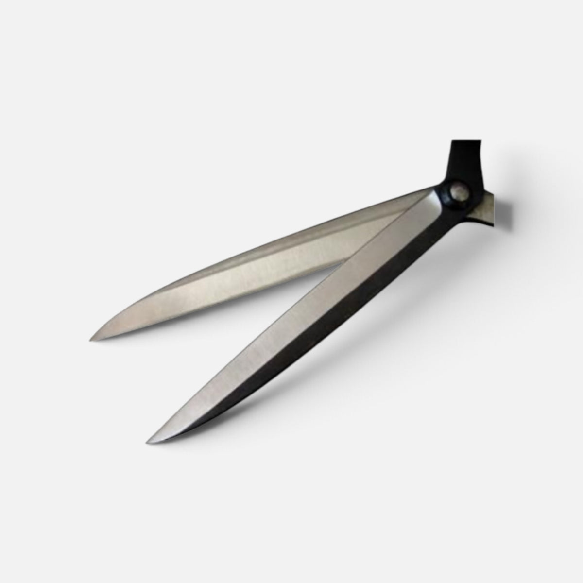 Sasuke Historic Masterpiece Jizo-Style (Curved-Neck Style) Hedge Shears 197mm Yasugi Shirogami White Paper Steel / Oak Handle 545mm [Traditional Hand-Forged from Scratch / Twist Blade / Urasuki Hollow Ground / Rivet Joint / Jizo-Type Curved Neck]