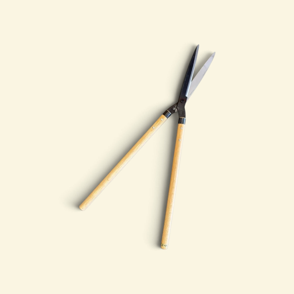 Kaneyoshi Hamono Straight Finishing Hedge Shears 210mm Yasugi Kishi Yellow Paper Steel / Oak Handle 450mm [Traditional Hand-Forged from Scratch / Twist Blade / Urasuki Hollow Ground / Screw Joint / Straight No-Offset Angle]