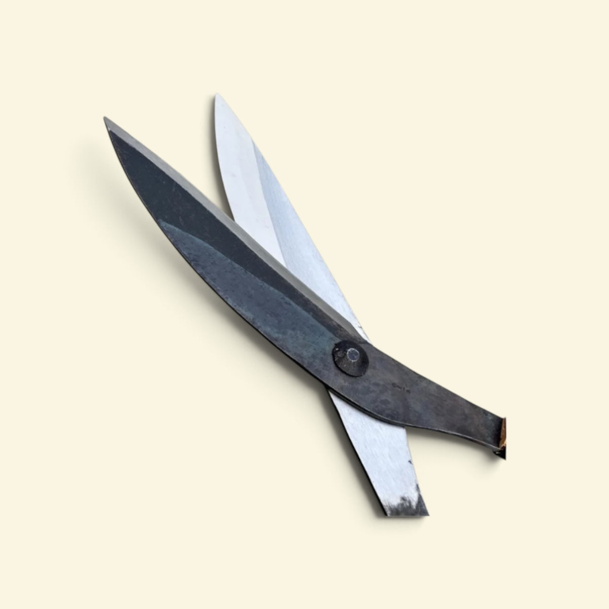 Hasamiya Ichiban Traditional Thatched-Roof Curved Trimming Shears 240mm Yasugi Yellow Paper Steel / Oak Handle 450mm [Traditional Hand-Forged from Scratch / Twist Blade / Urasuki Hollow Ground / Rivet Joint / Curved Blade Thatched-Roof Model]