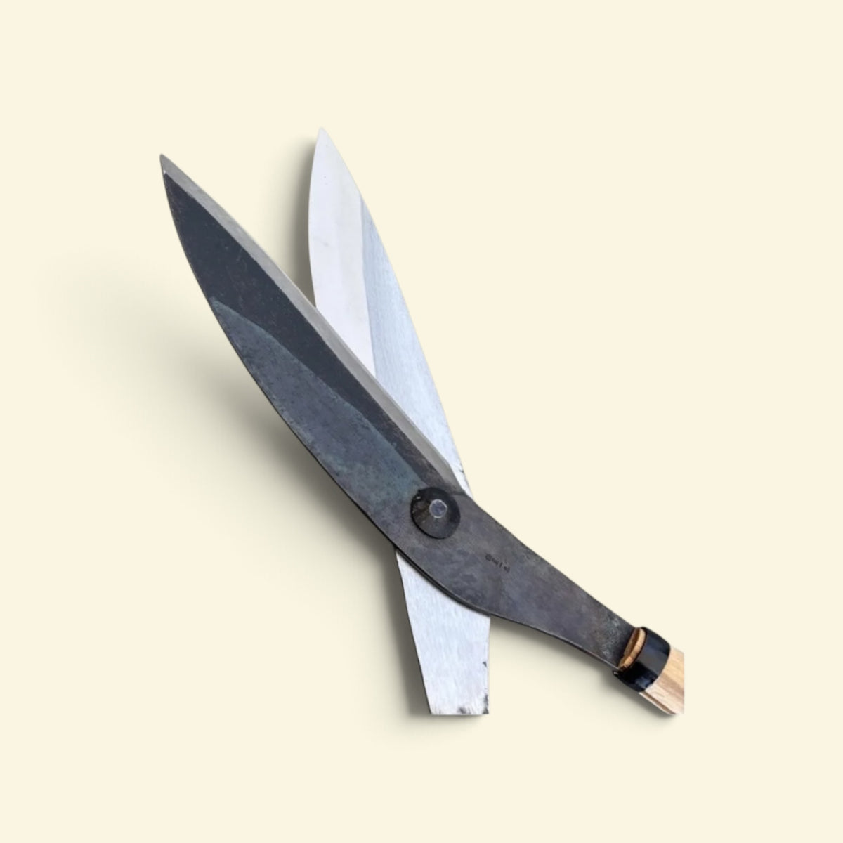 Hasamiya Ichiban Traditional Thatched-Roof Curved Trimming Shears 225mm [Yasugi Yellow Paper Steel / 420mm Oak Handle / Hand-Forged / Twist Blade / Urasuki Hollow Ground / Rivet Joint]