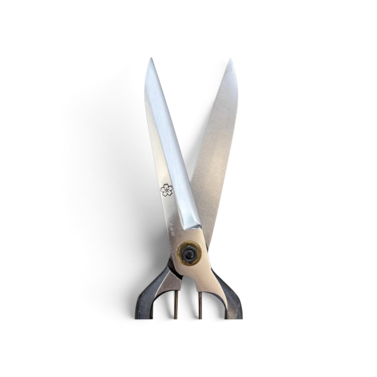 SAKURA Standard Single-Handed Hedge Shears 270mm Yasugi Shirogami White Paper Steel / Without Guard [Traditional Hand-Forged from Scratch / Twist Blade / Urasuki Hollow Ground / Screw Joint ]