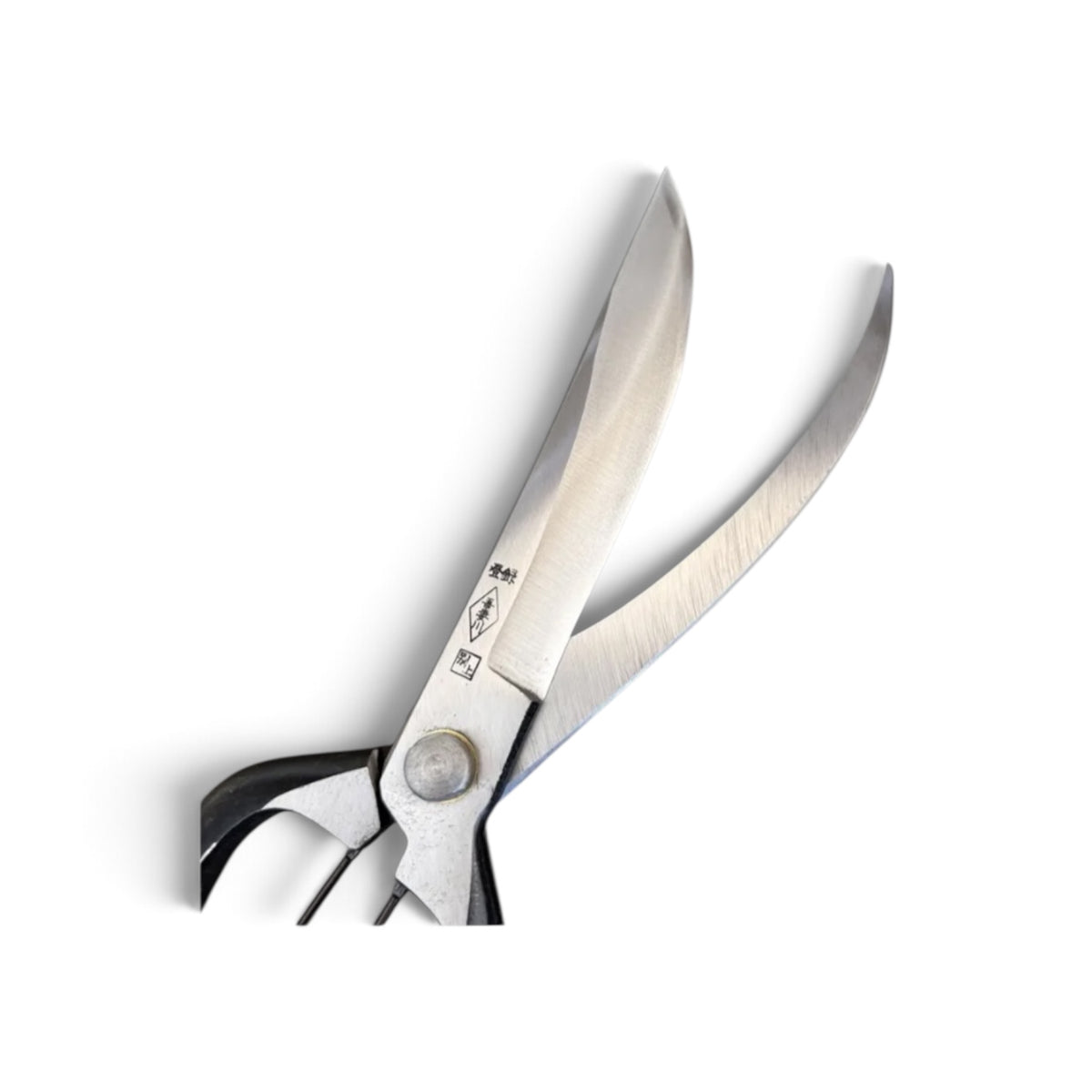 Azumagawa Single-Edge Single-Handed Hedge Shears Without Guard Total Length & Blade: 270mm / 130mm Yasugi High-Carbon Steel [Traditional Hand-Forged from Scratch / Hollow Ground Back / Screw Joint / Twist Blade / Smooth Engagement]