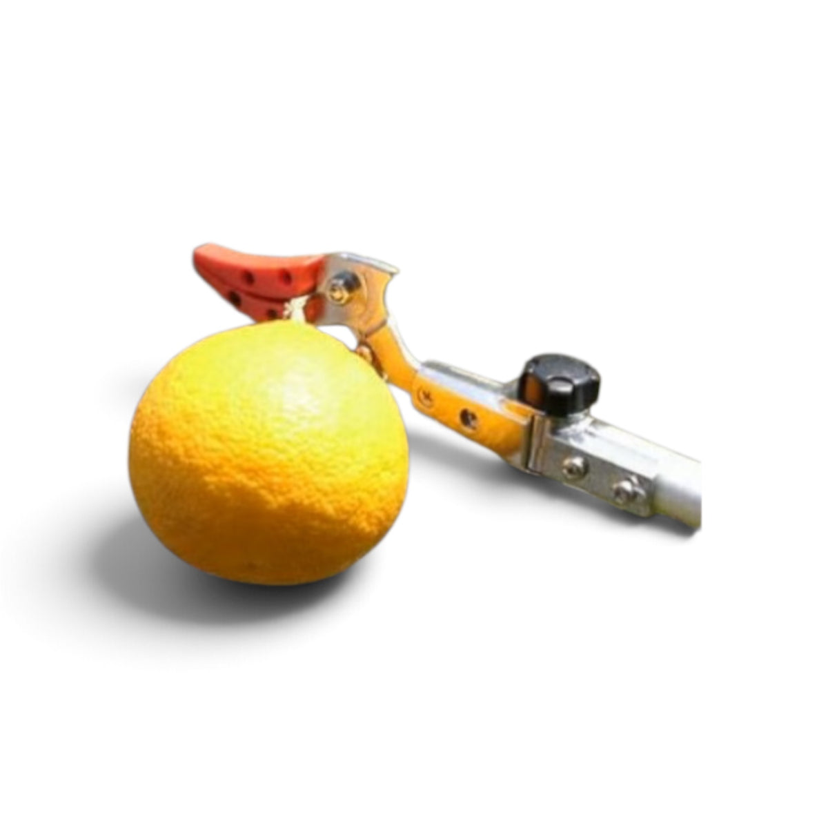ARS Professional Telescopic Tilting Long-Reach Pruner "Zoom Choki Tilt R" Harvesting Type Long 3.0M (160ZTR-3.0-5D) Max 12mm Capacity / 1310g | Cut & Hold Feature & Includes Saw Blade [ARS Craftsmanship / Telescopic 1.8m–3.0m]