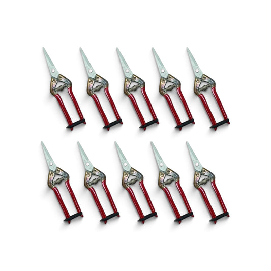 Chikamasa T-55SKF Stainless Steel Antibacterial Fruit & Bud Snips 10 set 195mm/48mm Weight: 110g [Sakai Chikamasa Heritage / Antimicrobial Grip Handles / Rust-Resistant Japanese Stainless Steel / Ultra-Lightweight 110g / Extended 48mm Pointed Tip]